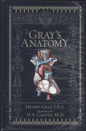 GRAY'S ANATOMY - English